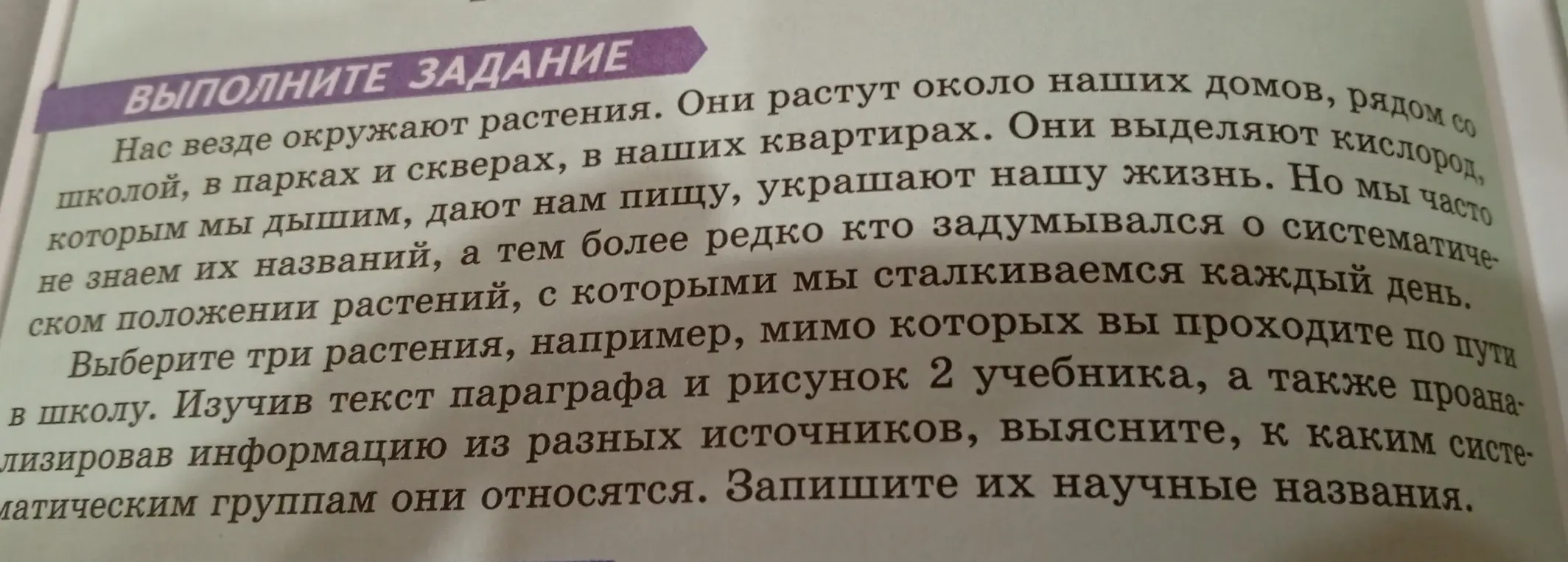 Выбери три растения, например, мимо которых ты проходишь по пути в школу и запиши их научные названия