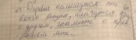 Проверь мой диктант