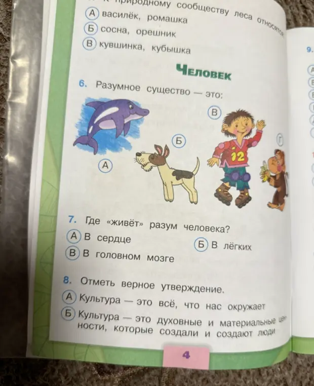 Выполни задания на картинке: в шестом вопросе определи, какое существо является разумным, в седьмом - где "живёт" разум человека, в восьмом - отметь верное утверждение о культуре
