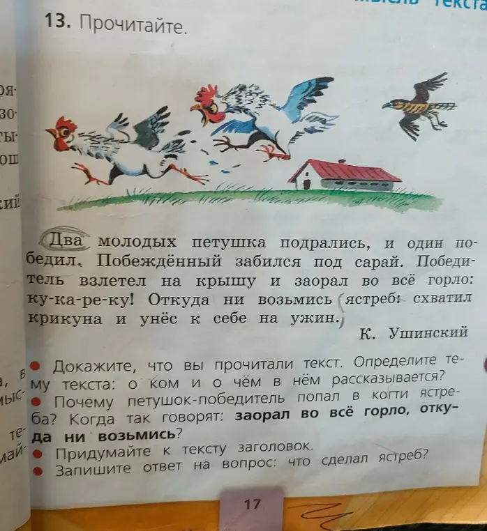 Расскажи, как ответить на вопросы к тексту "Два молодых петушка подрались"?