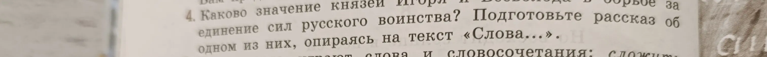 Каково значение князей за единение сил русского воинства?