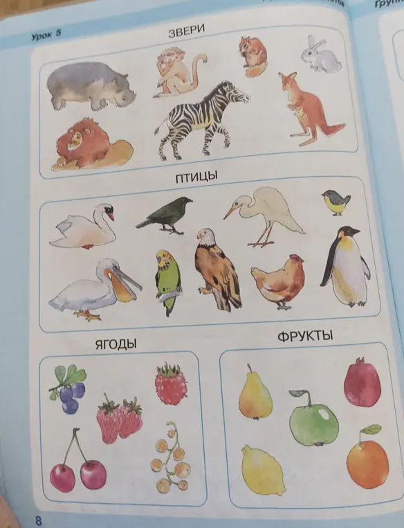 определи, что изображено на картинке