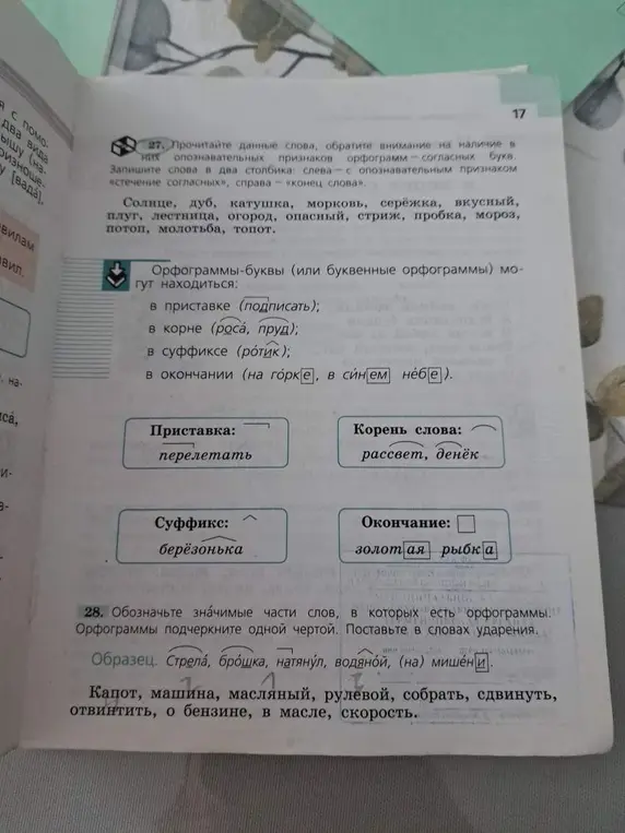 Выполни задание: прочитайте данные слова, обратите внимание на наличие в них опознавательных признаков орфограмм согласных букв. Запишите слова в два столбика.