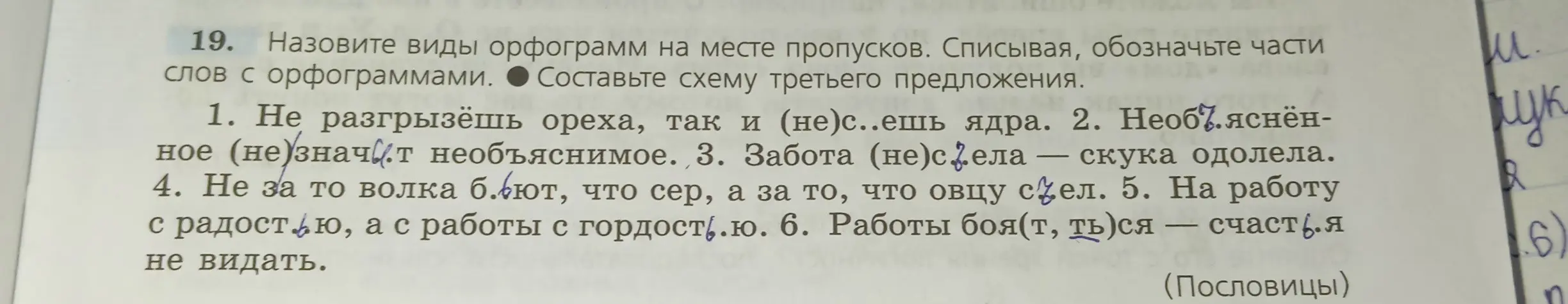 Назови виды орфограмм на месте пропусков в предложениях: Не разгрызёшь ореха, так и (не)с..ешь ядра