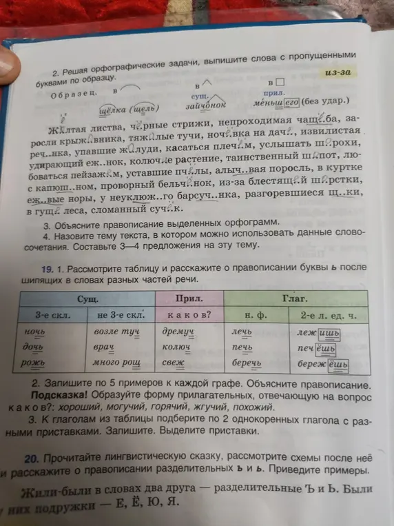 Реши орфографические задачи, выпиши слова с пропущенными буквами по образцу.