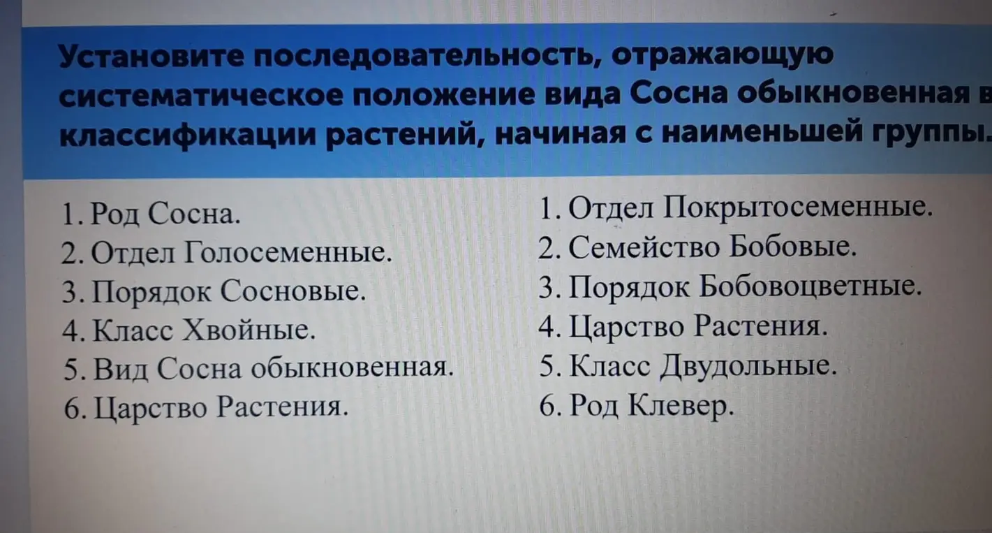 Определи последовательность систематического положения вида Сосна обыкновенная в классификации растений, начиная с наименьшей группы.