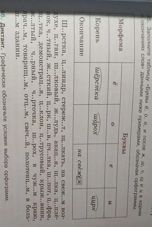 Заполни таблицу «Буквы ё, о, е, и после ж, ш, ч, щ и ц в корнях и окончаниях слов» данными ниже примерами, обозначая орфограммы
