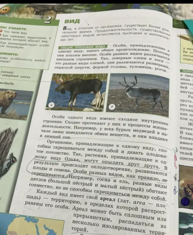 Объясни, какие организмы способны скрещиваться между собой