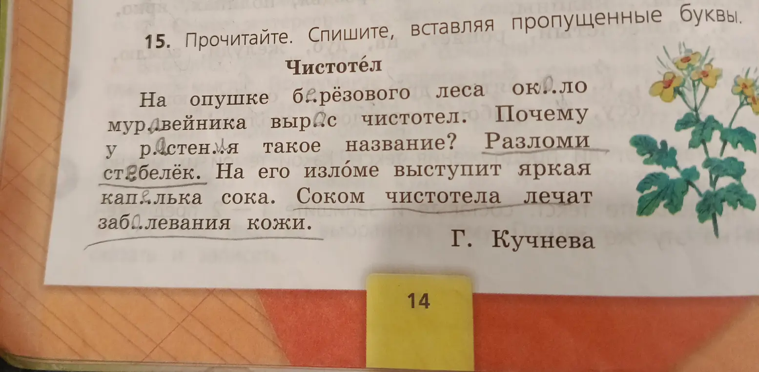 Ты просишь вставить пропущенные буквы в словах текста про чистотел