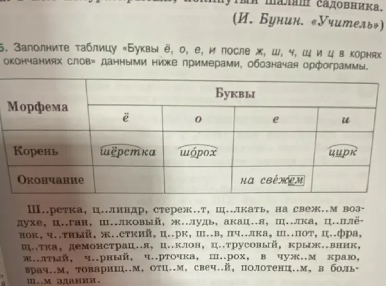 Выполни задание: Заполни таблицу «Буквы ё, о, е, и после ж, ш, ч, щ и ц в корнях и окончаниях слов» данными ниже примерами, обозначая орфограммы.