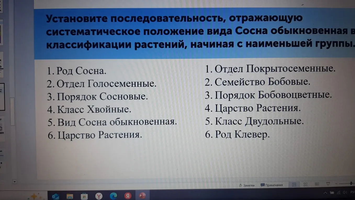 Помоги установить последовательность, отражающую систематическое положение вида Сосна обыкновенная в классификации растений, начиная с наименьшей группы.