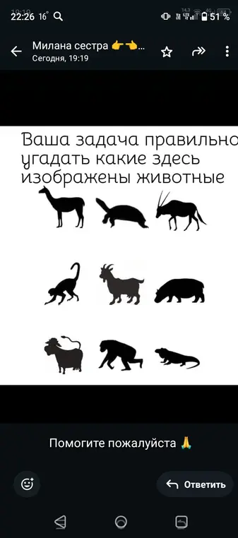 Ты просишь угадать, какие животные изображены на картинке.