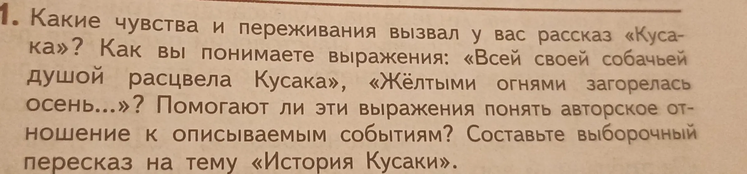 Какие чувства и переживания вызвал у тебя рассказ «Кусака»?
