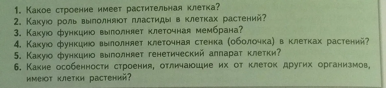 Ты спрашиваешь, какое строение имеет растительная клетка.