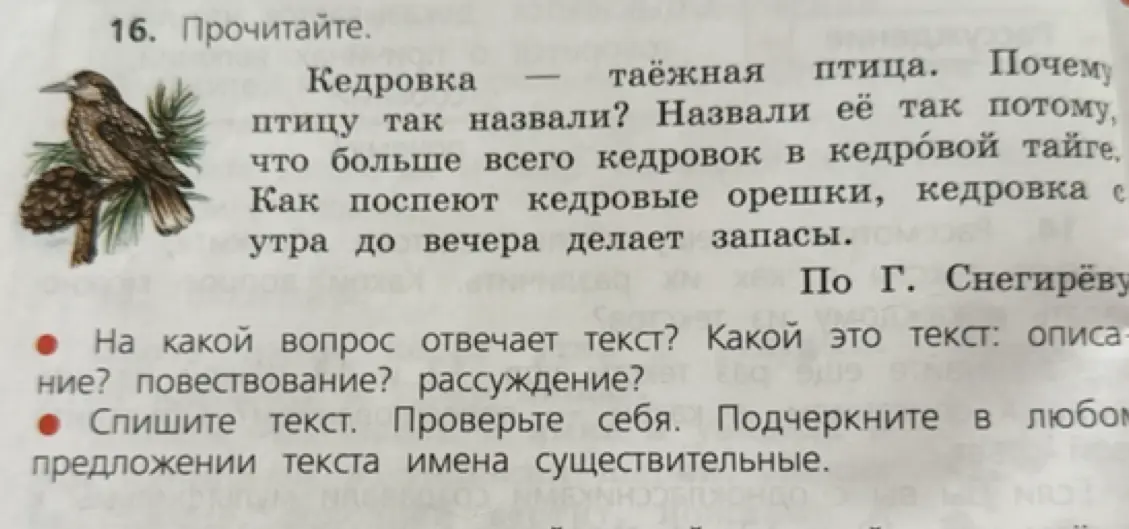 Определи, на какой вопрос отвечает текст и какой это тип текста, а также подчеркни имена существительные в предложении.