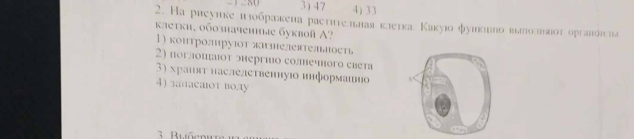 Ты просишь определить, какую функцию выполняют органоиды клетки, обозначенные буквой А на рисунке растительной клетки