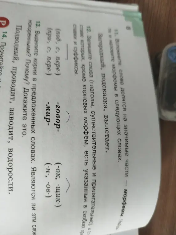 Выдели корни в словах подводный, проводит, заводит, водоросли. Являются ли эти слова однокоренными?