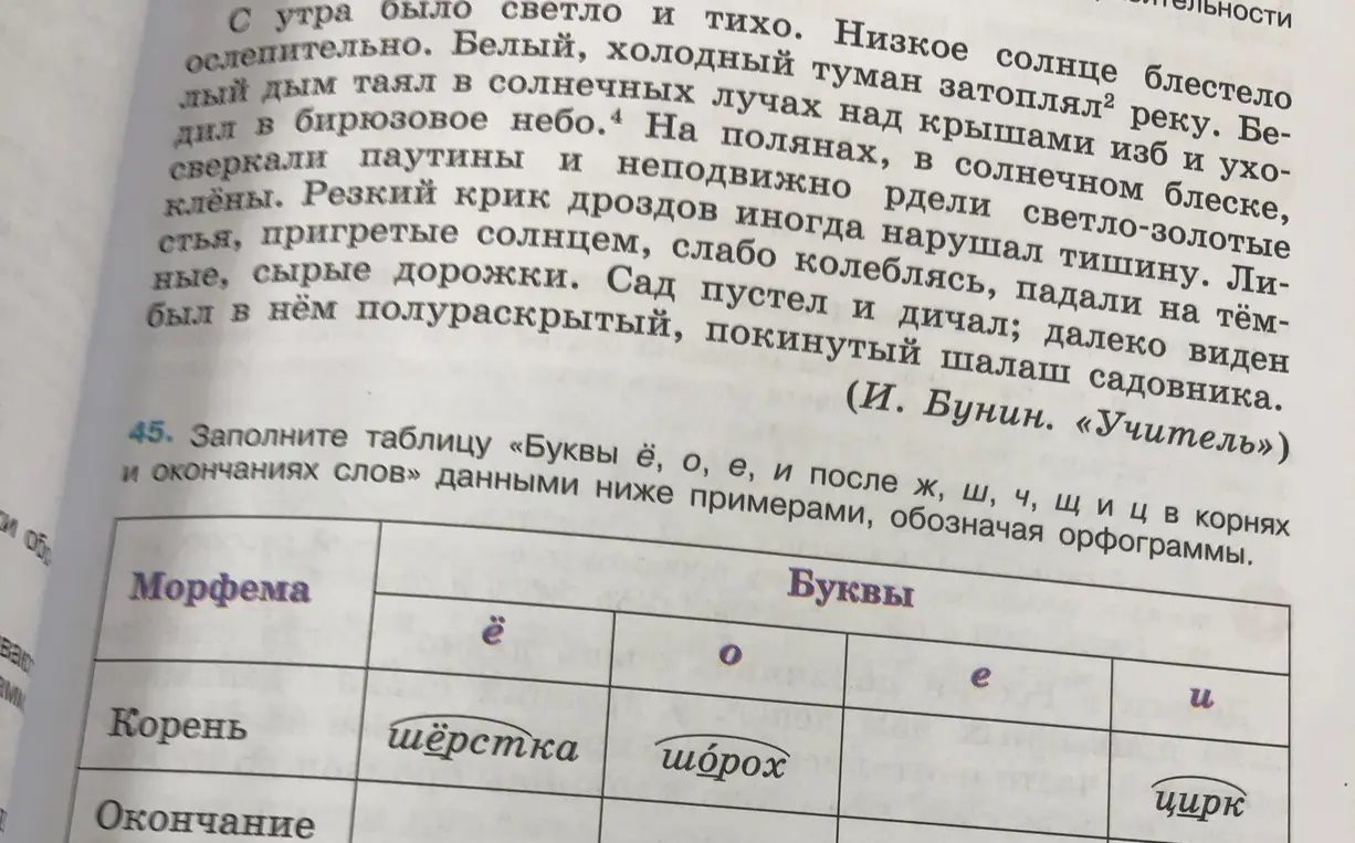 Заполни таблицу «Буквы ё, о, е, и после ж, ш, ч, щ и ц в корнях и окончаниях слов» данными ниже примерами, обозначая орфограммы.