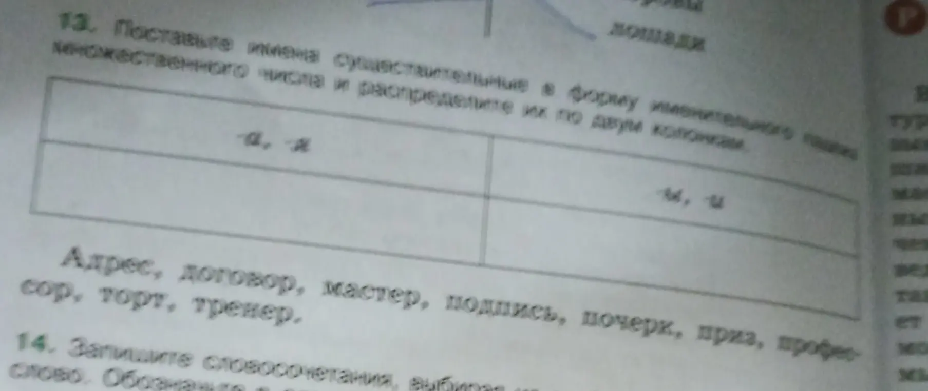 Поставь имена существительные во множественное число и распредели по двум колонкам