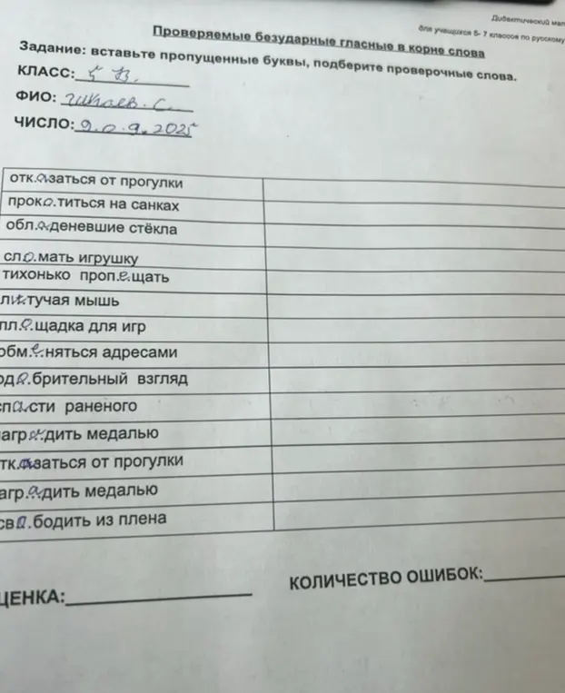 Вставь пропущенные буквы и подбери проверочные слова в задании про проверяемые безударные гласные в корне слова.