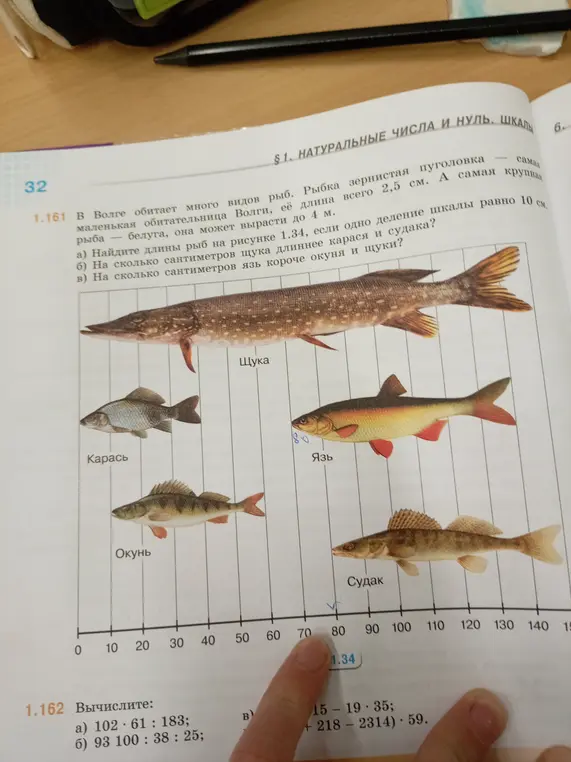 Помоги мне найти длины рыб на рисунке 1.34, если одно деление шкалы равно 10 см