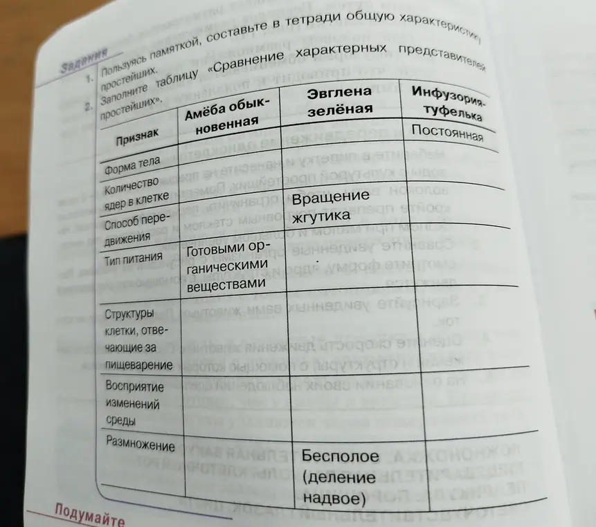 Заполни, пожалуйста, таблицу «Сравнение характерных представителей простейших».