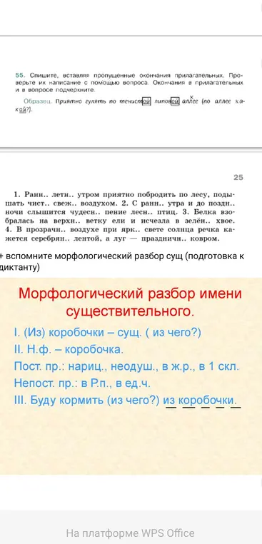 Помоги вставить пропущенные окончания прилагательных и выполнить морфологический разбор имени существительного.