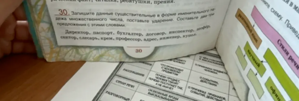 Помоги записать данные существительные в форме именительного падежа множественного числа, поставить ударение и составить два-три предложения с этими словами: директор.
