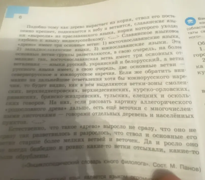 Какие три основные ветви имеет славянское языковое древо?