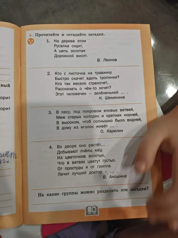 Предложи загадки и скажи, на какие группы их можно разделить
