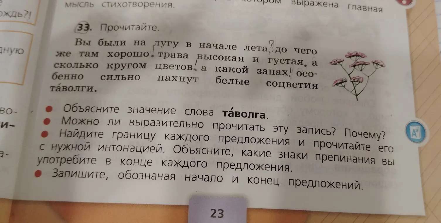 Объясни значение слова таволга из упражнения 33