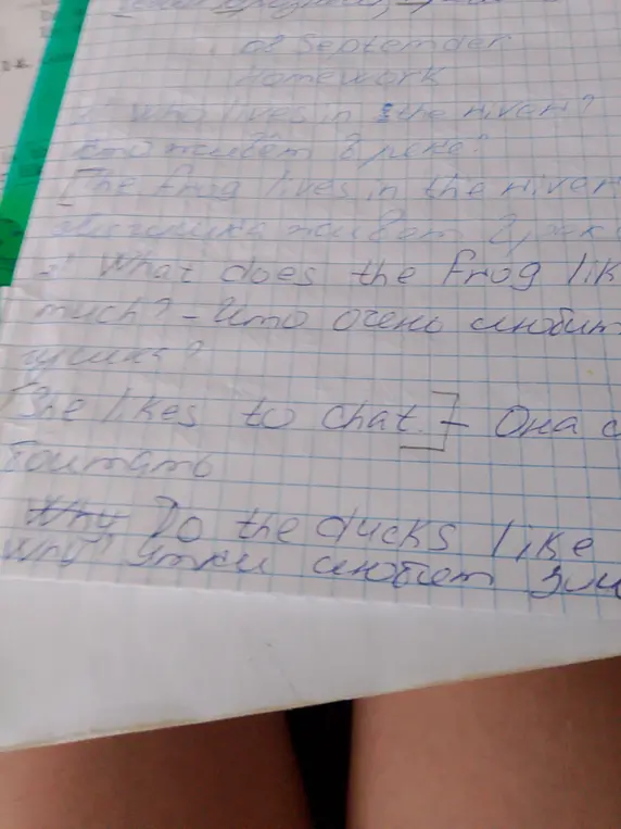 Ответь на вопросы на английском языке: 'Who lives in the river?', 'What does the frog like much?', 'Why do the ducks like...'