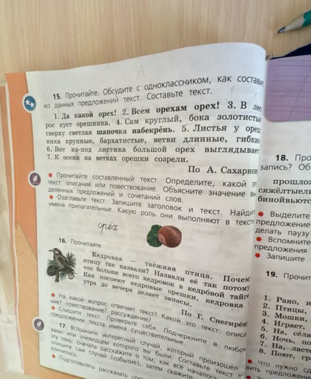 Объясни значение выделенных предложений и сочетаний слов в тексте про орех и кедровку