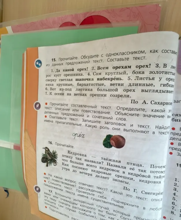 Объясни значение выделенных предложений и сочетаний слов в тексте про орех