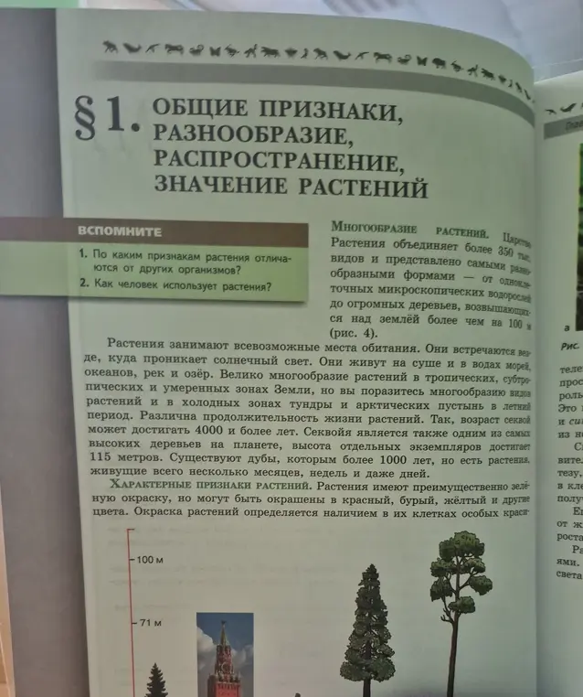 Можешь ли ты рассказать, по каким признакам растения отличаются от других организмов и как человек использует растения?