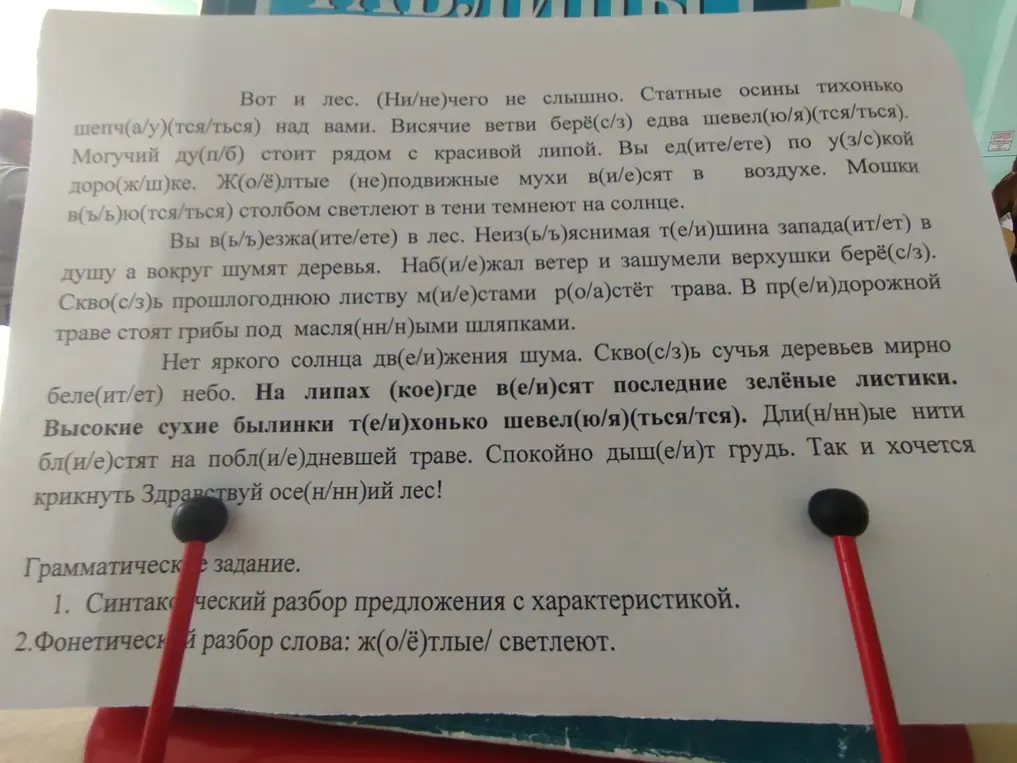 Вставь правильные орфограммы в текст и выполни синтаксический разбор предложения и фонетический разбор слова жёлтые