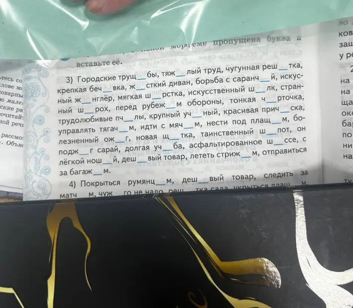 Вставь орфограммы в словах в 3-м и 4-м пунктах