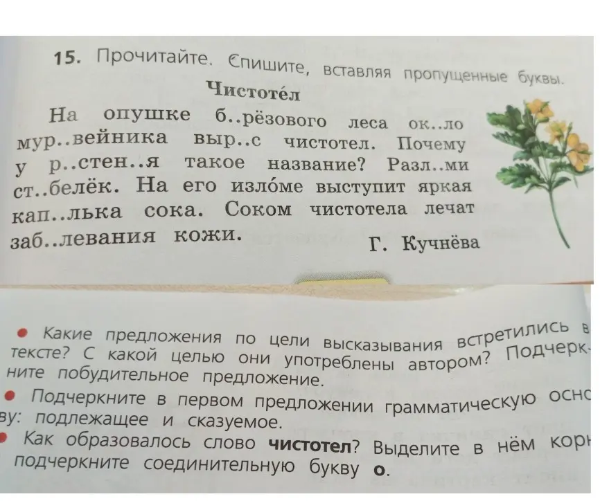 Какие предложения по цели высказывания встретились в тексте? Подчеркни в первом предложении грамматическую основу: подлежащее и сказуемое. Как образовалось слово чистотел? Выдели в нём корень, подчеркни соединительную букву о.