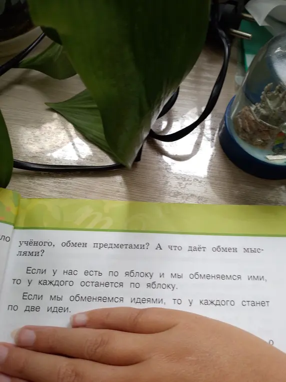 Объясни, что даёт обмен мыслями
