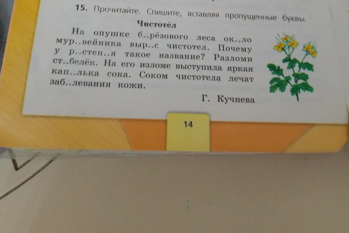 Вставь пропущенные буквы в тексте.
