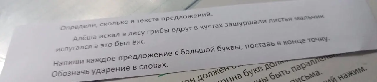 Помоги определить, сколько предложений в тексте, напиши каждое предложение с большой буквы и поставь в конце точку, обозначь ударение в словах.