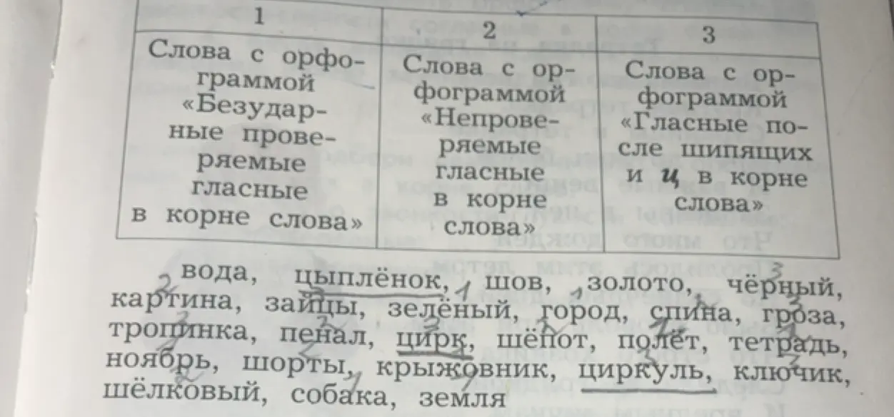 Помоги распределить слова по категориям: «Безударные проверяемые гласные в корне слова», «Непроверяемые гласные в корне слова», «Гласные после шипящих и Ц в корне слова»