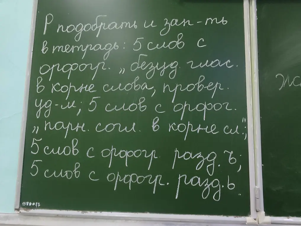 Помоги подобрать и записать в тетрадь слова с орфограммами: безударная гласная в корне слова, парная согласная в корне слова, разделительный мягкий знак и разделительный твердый знак.