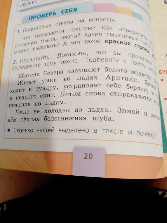 Определи, сколько частей выделено в тексте и почему?