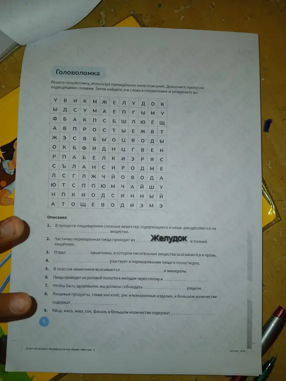 Помоги решить головоломку, используя приведённые ниже описания. Дополни пропуски подходящими словами в первом задании.