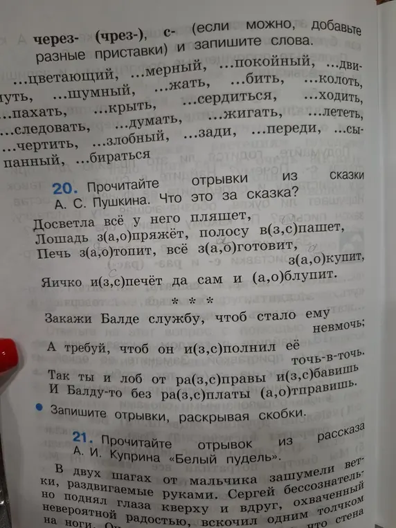 Напиши отрывки, раскрывая скобки в задании по литературе из сказки А. С. Пушкина.