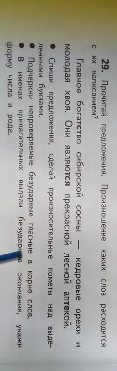 Прочитай предложения. Произношение каких слов расходится с их написанием?