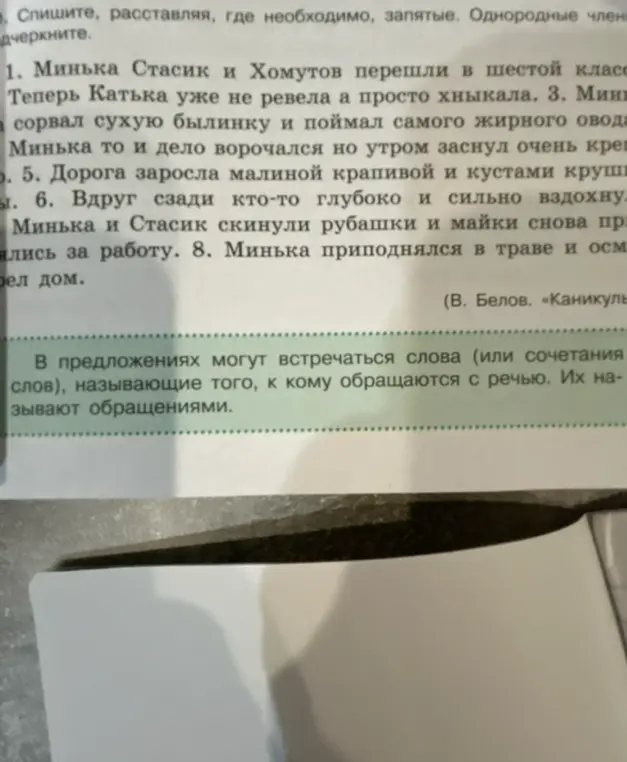 Помоги расставить запятые в предложениях и подчеркнуть однородные члены.