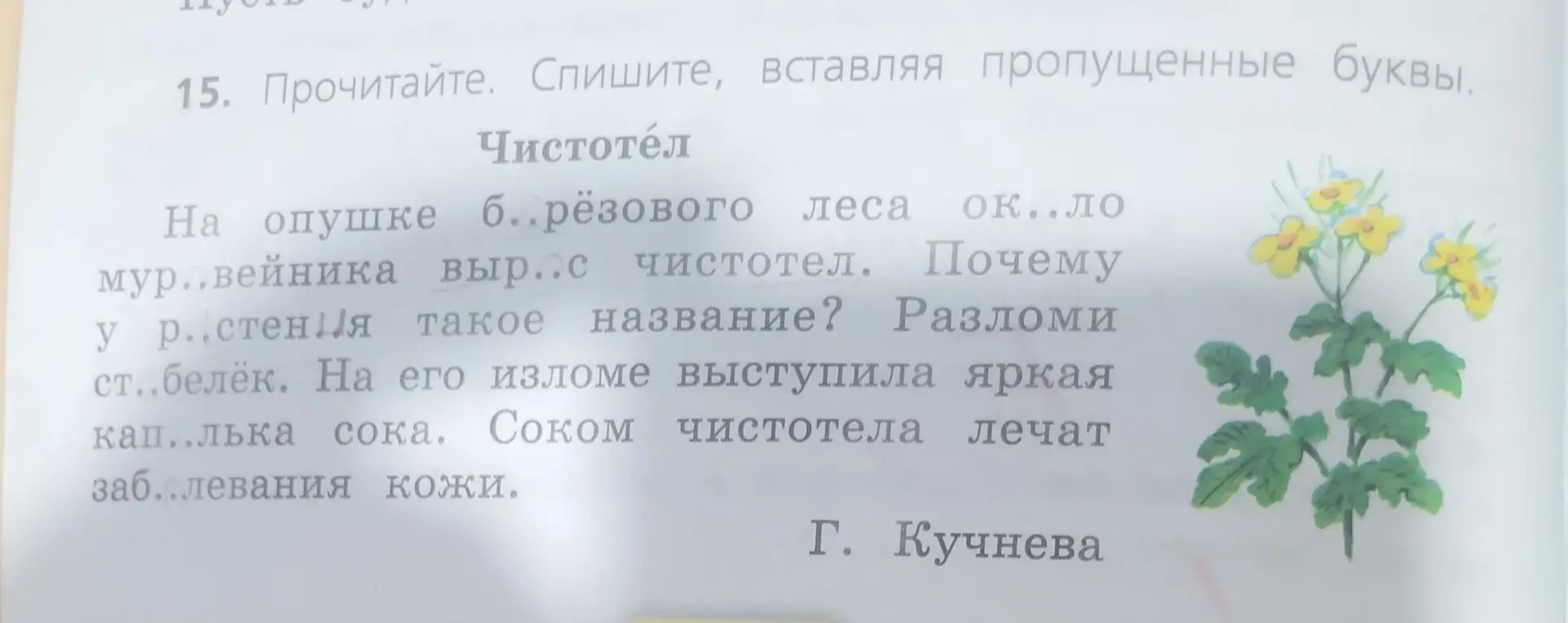 Выполни упражнение: вставь пропущенные буквы, определи тип предложений и их цели, разбери слово «чистотел» по составу, подчеркни грамматическую основу в первом предложении.