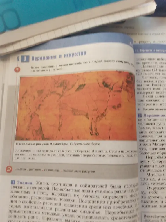 Какие сведения о жизни первобытных людей можно получить из наскальных рисунков?